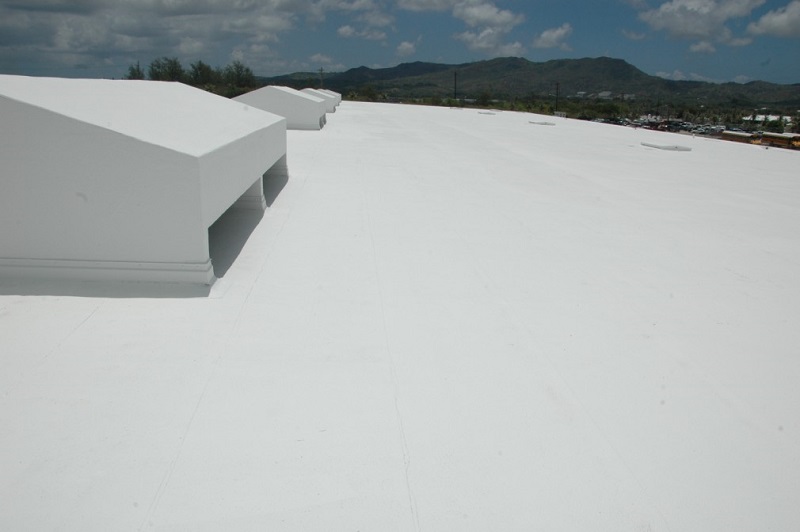   EPDM  RoofCoat Pro AdHere-IT 